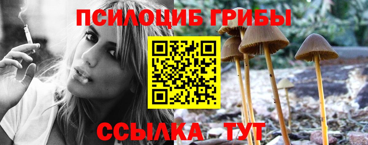 Галлюциногенные грибы Psilocybine cubensis Сертолово