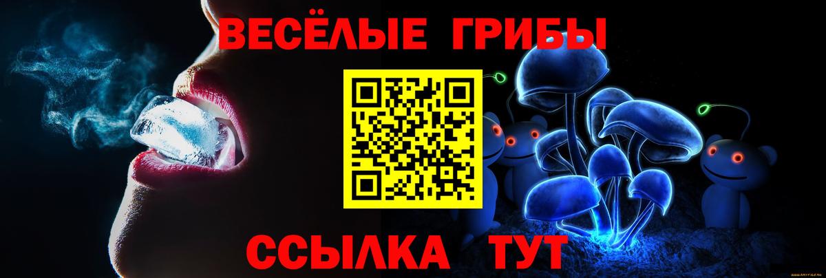 Псилоцибиновые грибы мухоморы  Вход с VPN  Сертолово  Галлюциногенные грибы прущие грибы 
